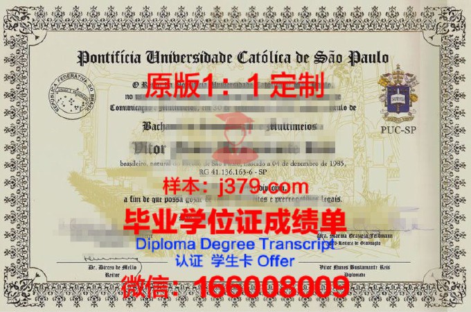 圣保罗城市大学毕业证书(圣保罗大学本科申请条件)