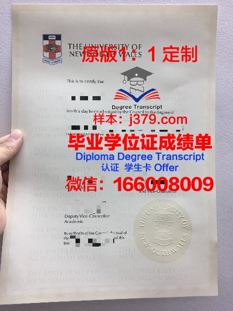 犹大大硕士毕业证:一张跨越时空的珍贵凭证