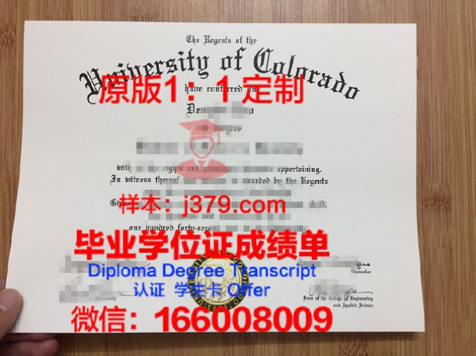211、985大学毕业证:承载荣誉与责任的象征