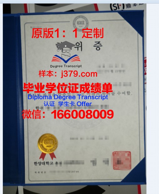 马库米拉图玛伊尼大学达累斯萨拉姆学院本科学位证：一份跨越国度的学术荣誉