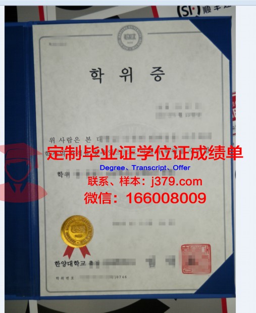 Helsinki硕士学位证:一份国际认可的学术荣耀