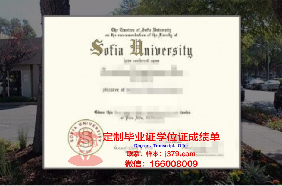 索非亚技术大学普罗夫迪夫分校毕业证书时间(索菲亚大学fmba)