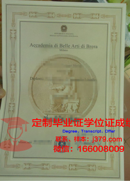 米兰布雷拉美术学院学位证书(米兰布雷拉官网)