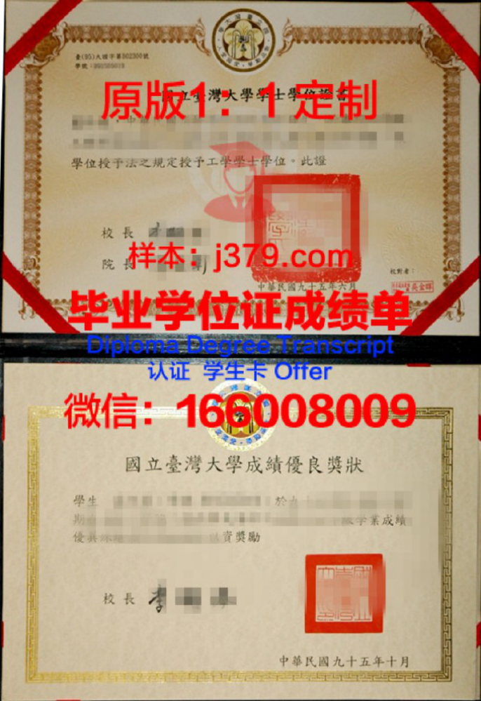 Cant Uni本科学位证:一张纸的重量