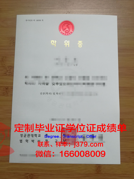 马库米拉图玛伊尼大学达累斯萨拉姆学院本科学位证：一份跨越国度的学术荣誉