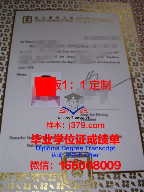 米科拉斯·罗梅里斯大学本科毕业证书：一张通往未来的通行证