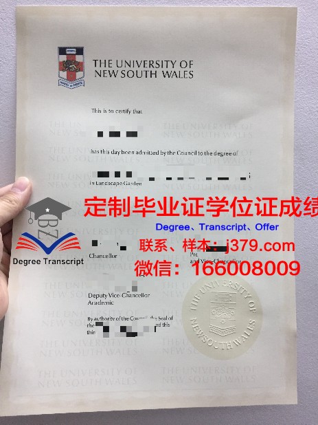 Indian Tech毕业证:一张通往全球职场通行证的背后