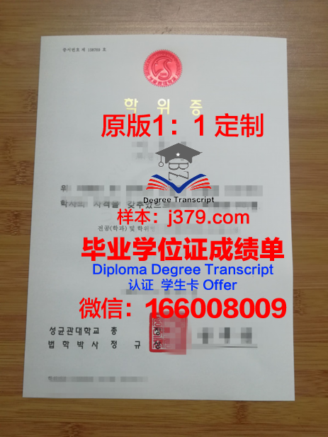 马尔马拉大学学位证成绩单：一份国际认可的学术证明