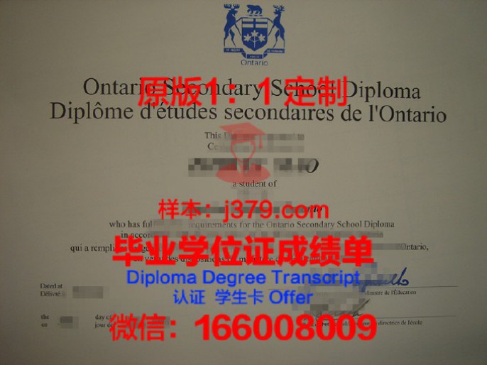 08年高中毕业证书模版(08年的高中毕业证样本)