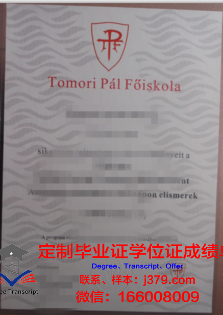马尼帕尔高等教育学院毕业证高清图(马来西亚玛尼帕尔大学好吗)