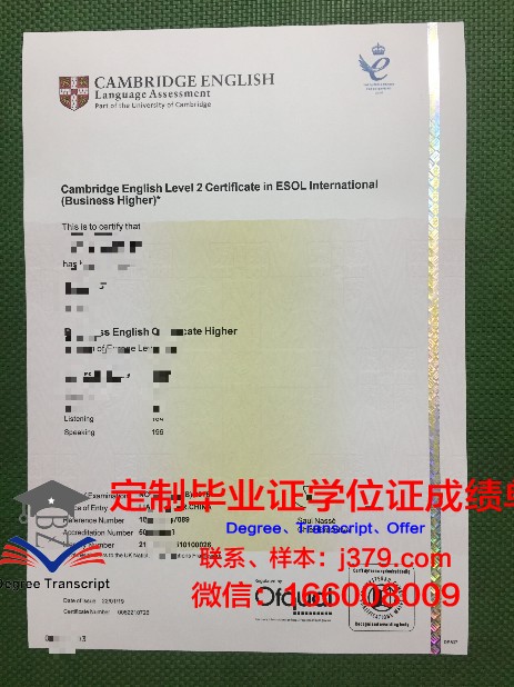 提契诺大学:跨越语言与文化的国际桥梁——毕业证书的含金量解析