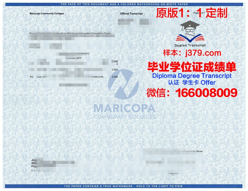 没有大学成绩单,中欧学校的入学之路是否可行?
