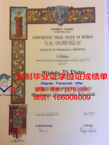 罗马国际学院毕业学位