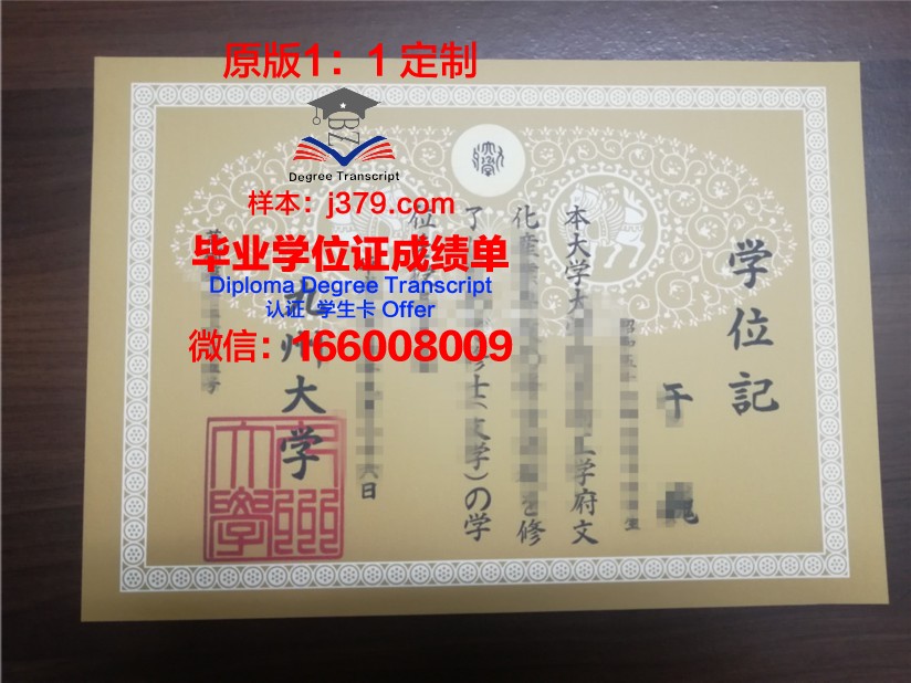探寻九州国际大学毕业证成绩单的价值与意义
