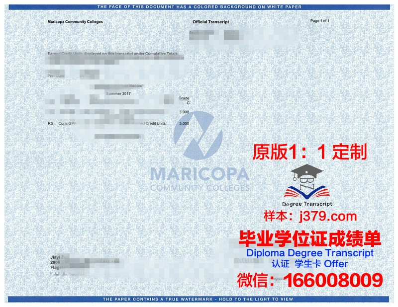马大成绩单:一份富有启示的青春记录