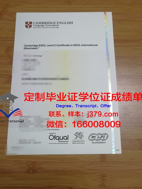 提契诺大学:跨越语言与文化的国际桥梁——毕业证书的含金量解析