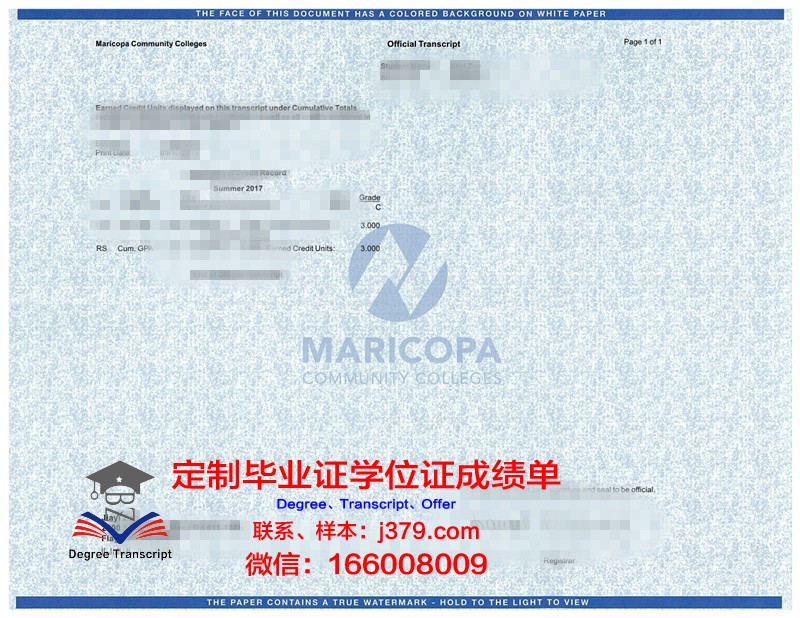 河大成绩单:一份承载梦想与努力的答卷
