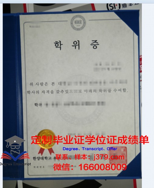 探索未来教育之路——培训与研究创新学院硕士学位证的启示