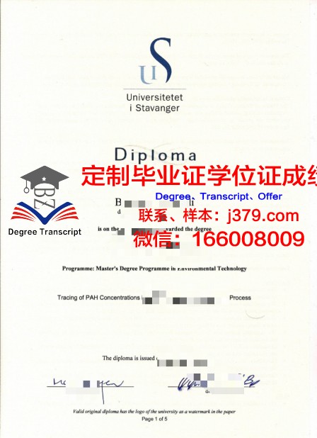 挪威内斯纳大学学院毕业学位