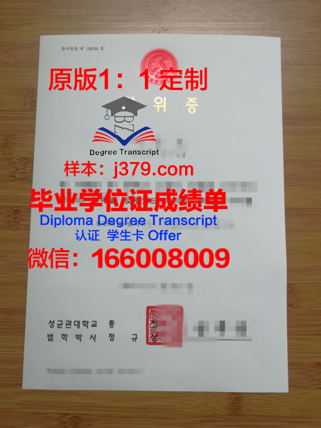 罗马艺术产业高等研究院博士学位证:一份珍贵的学术荣誉