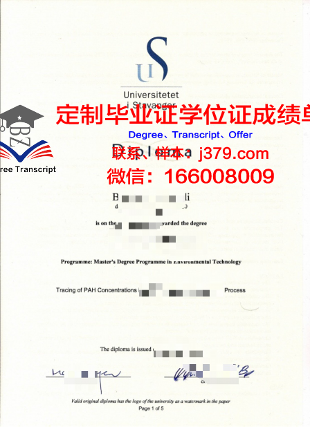 挪威特罗瑟姆学院毕业学位