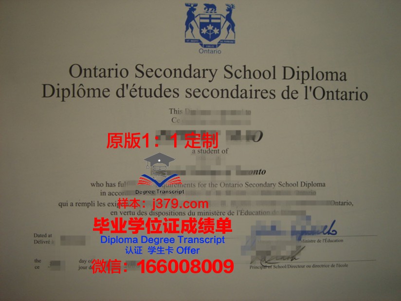 拉谢拉大学毕业证书图片高清(谢拉vtb毕业)