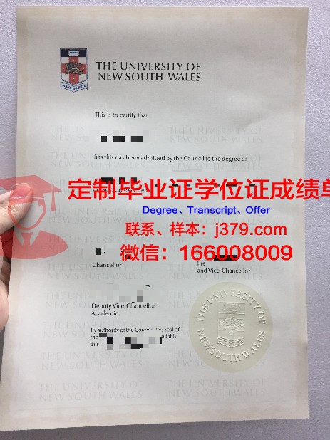 马库米拉图玛伊尼大学达累斯萨拉姆学院毕业证成绩单