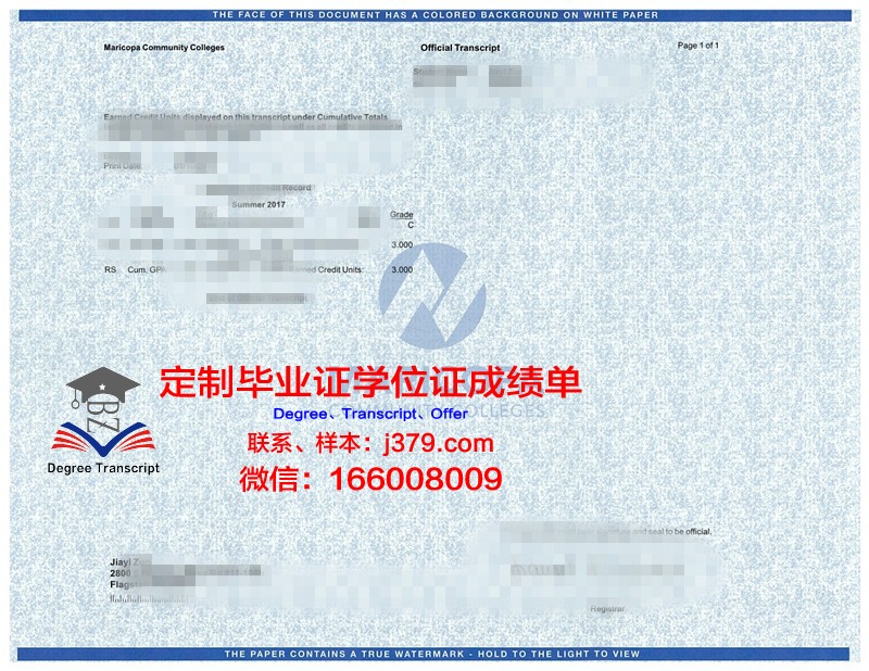 马来大成绩单:反映学生学术能力的重要凭证