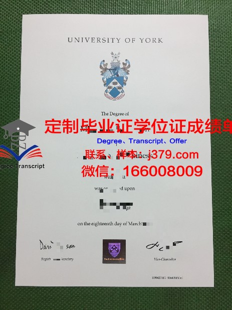 约克全球商务专门学校毕业证:开启国际商务舞台的钥匙