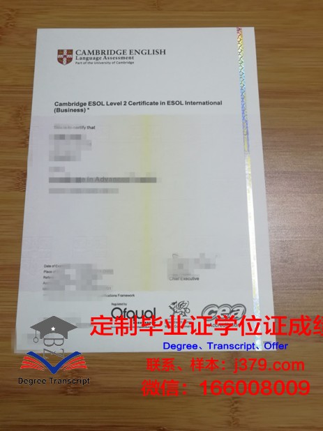 探究大学毕业生毕业证书的变迁:从纸质到电子化的演变