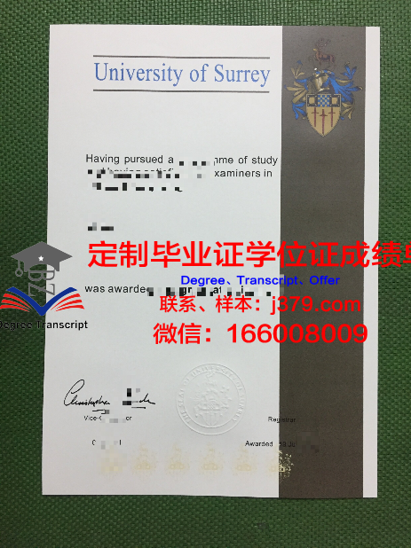 萨里大学成绩单(萨里大学官网)