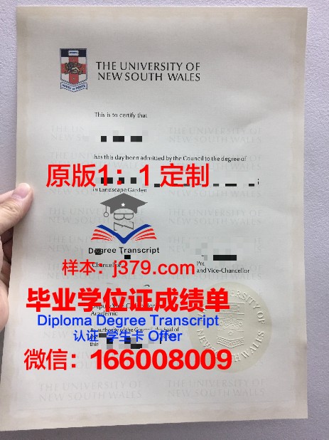 拉贾斯坦大学本科毕业证:开启人生新篇章的钥匙