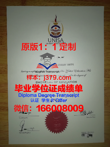 提契诺大学毕业证成绩单