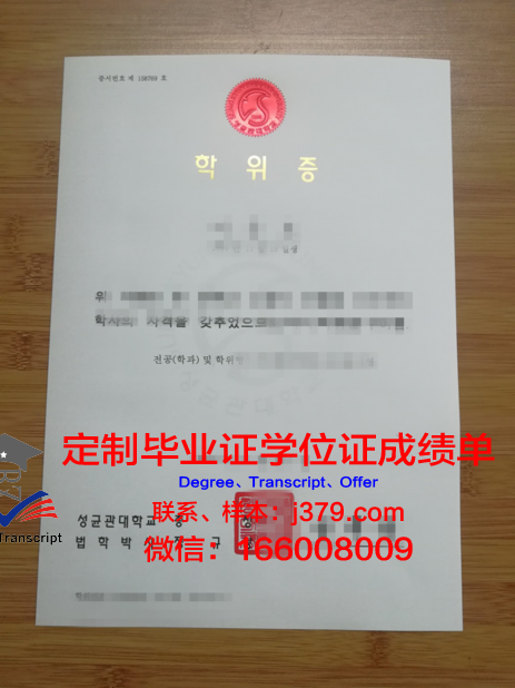 探索卡马河畔切尔尼社会教育技术与资源学院硕士学位证的价值与意义