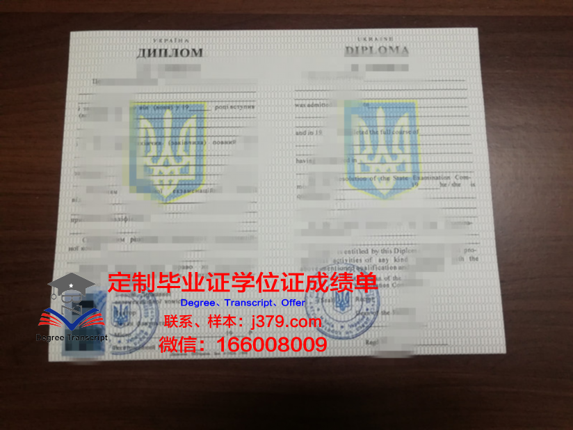 KNU(基辅国立大学)学位证:一份跨越国度的学术荣耀