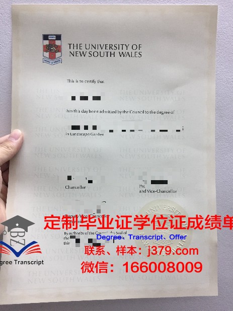 纤大学硕士毕业证:一张纸背后的故事