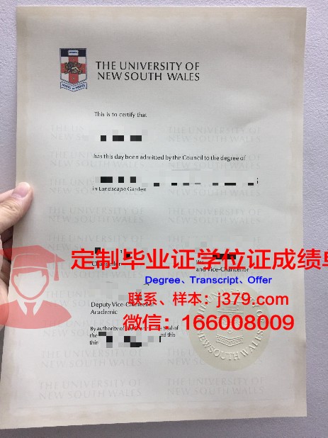 探索锡根大学毕业证定制的背后故事
