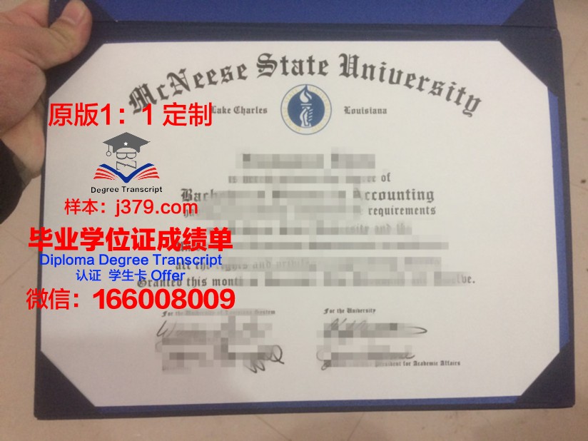 麦克尼斯州立大学硕士毕业证:开启全球职业生涯的金钥匙
