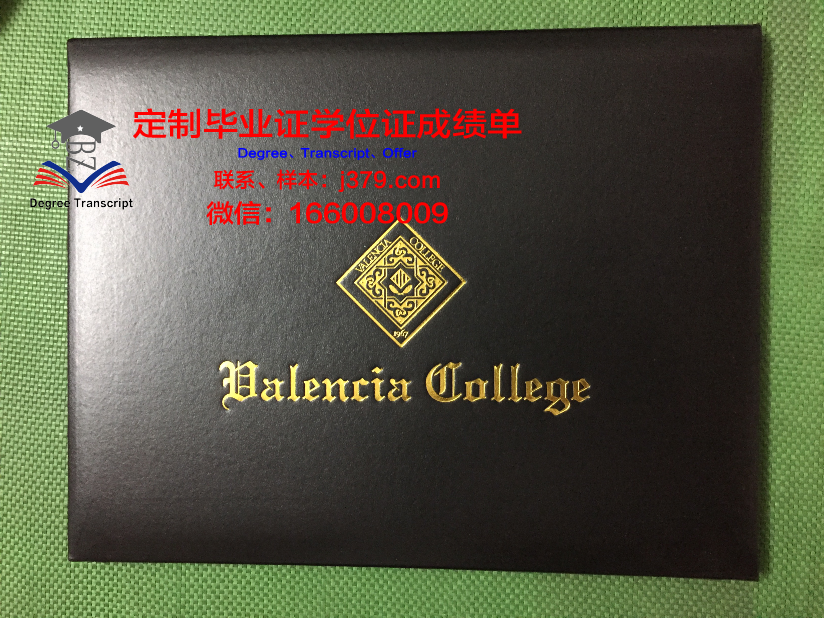 瓦伦西亚理工大学毕业证真伪(瓦伦西亚大学申请时间)