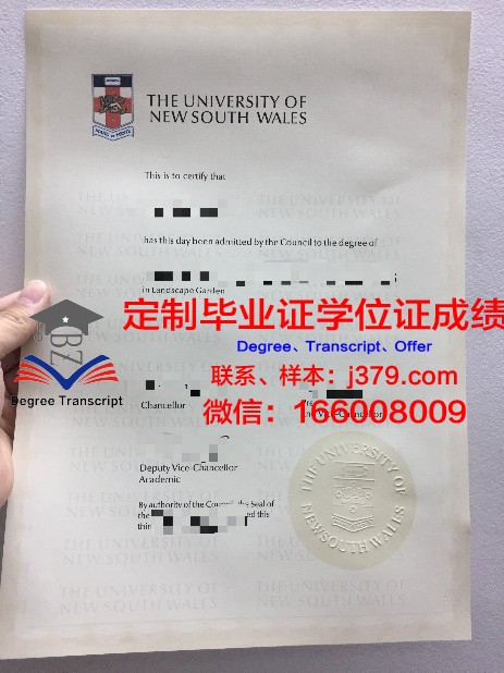韦尔瓦大学毕业证diploma