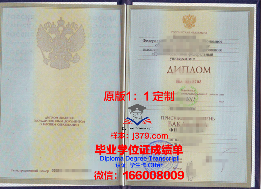 俄罗斯科学院远东分院自动化与过程控制研究所毕业证翻译(俄罗斯工程院与自然科学院)