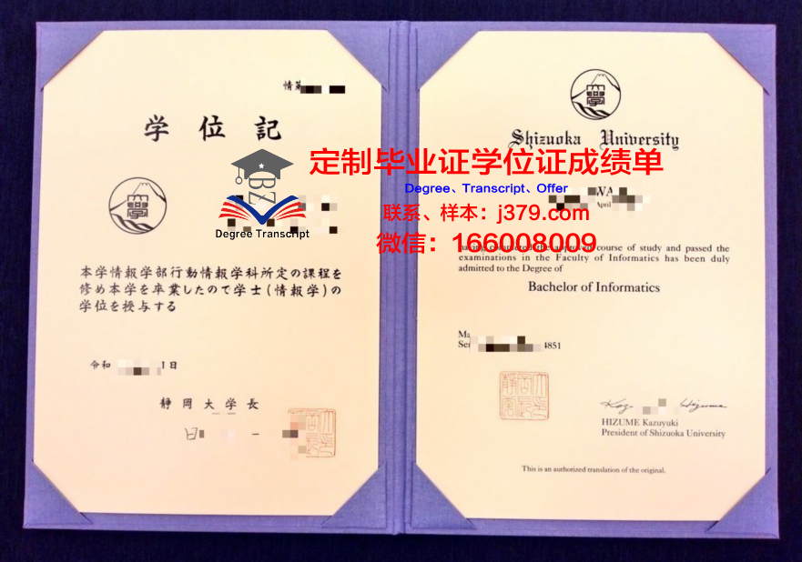 静冈大学毕业文凭