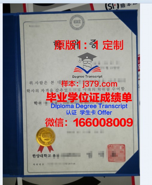 鸟取大学硕士学位证:一份跨越国界的学术荣耀