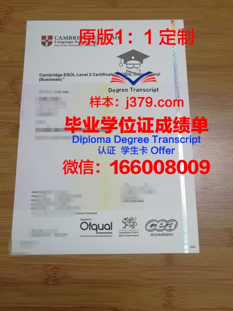 麦当娜大学毕业证书图片(麦当娜成绩)