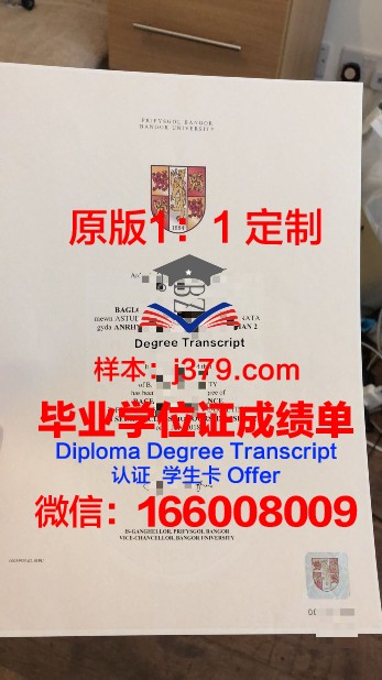 班戈大学硕士毕业证(班戈大学研究生申请条件)