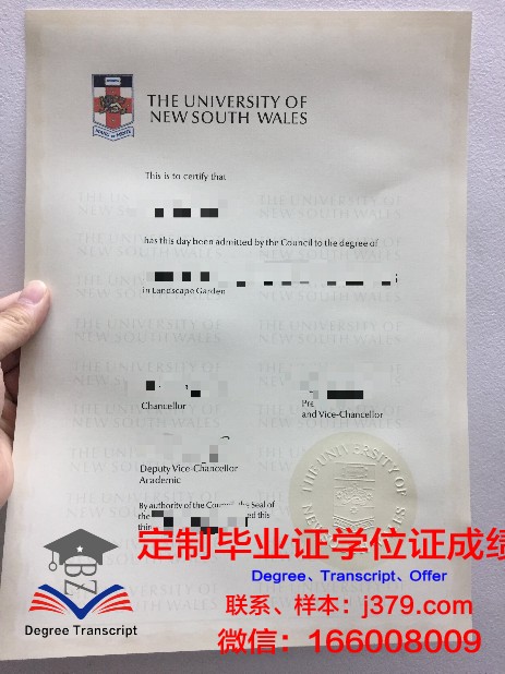 龙仁松潭大学硕士毕业证:承载荣誉与梦想的证书