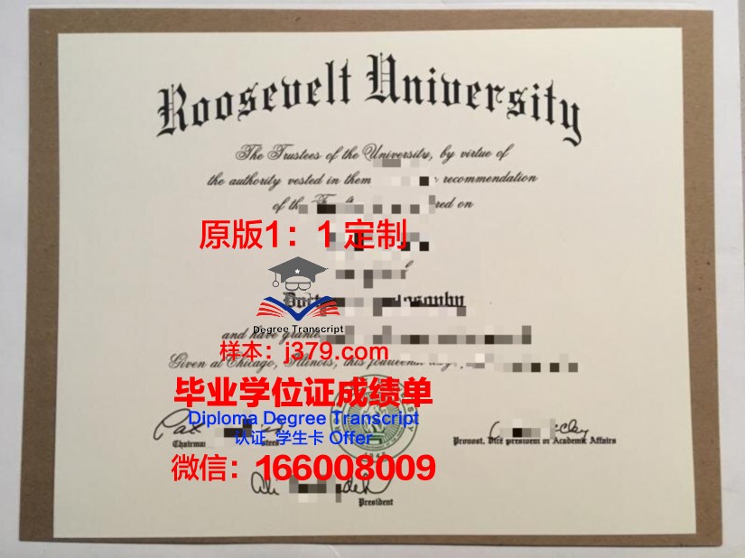 鲍曼本科毕业证:一张纸的重量与价值
