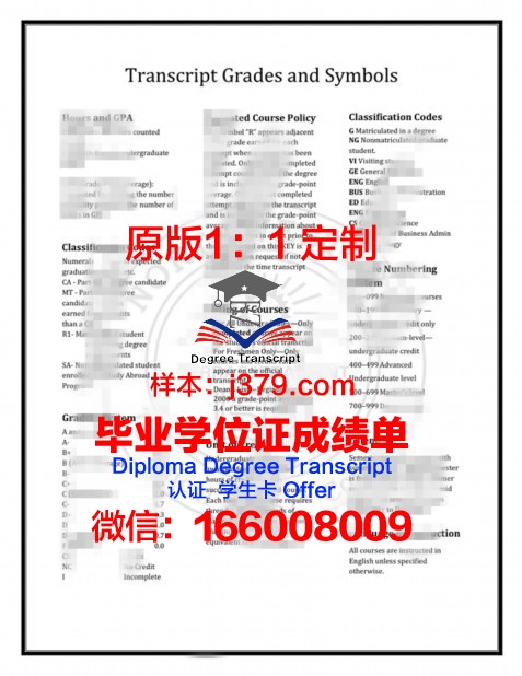 沃罗涅日高等技术学院毕业证:一张纸背后的价值与荣耀