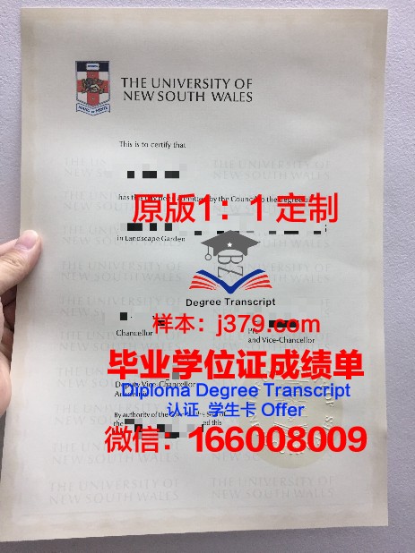 汉肯经济学院毕业证是什么模样(汉肯大学)