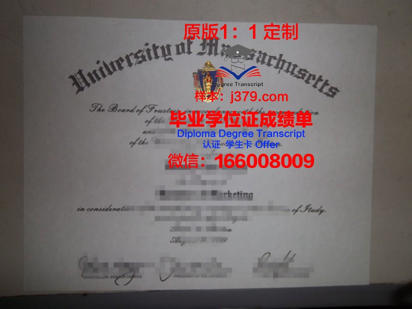 麻省理工毕业证图片：一张纸的重量与光芒